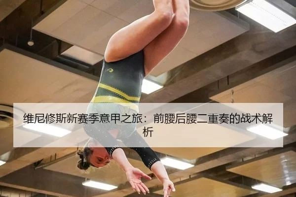 维尼修斯新赛季意甲之旅：前腰后腰二重奏的战术解析